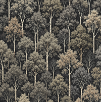 Hide N Seek Graphite Wallpaper