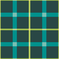 Shannon Plaid Tourquois