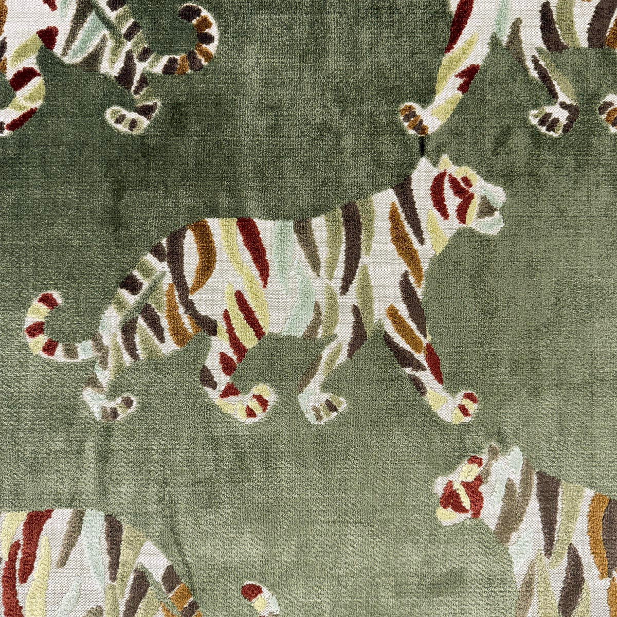TIGRESS SAFARI