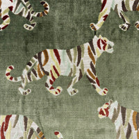 TIGRESS SAFARI