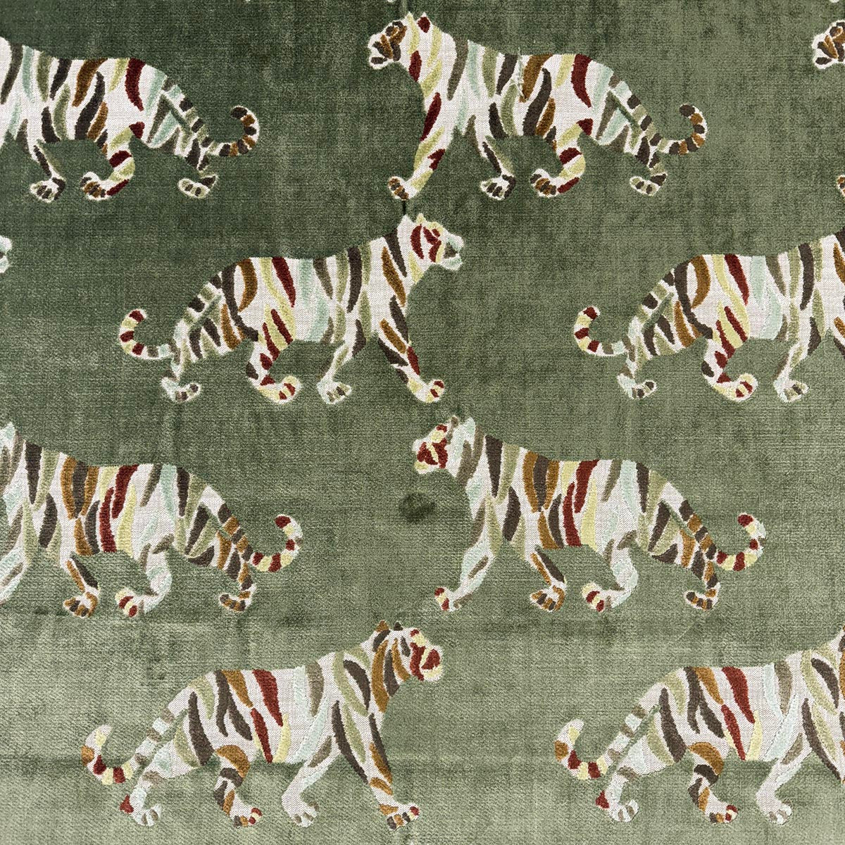 TIGRESS SAFARI