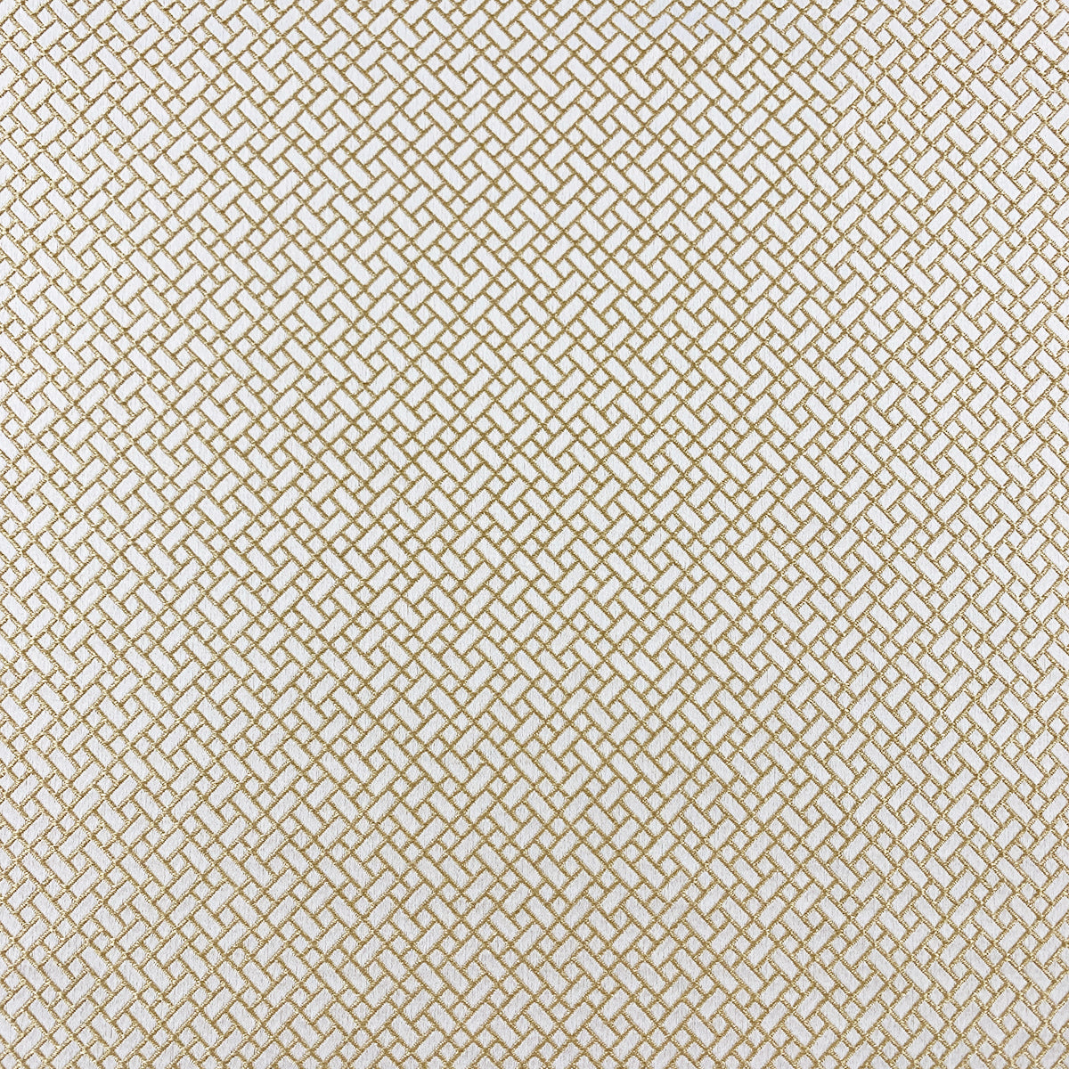 TRENTO BLONDE