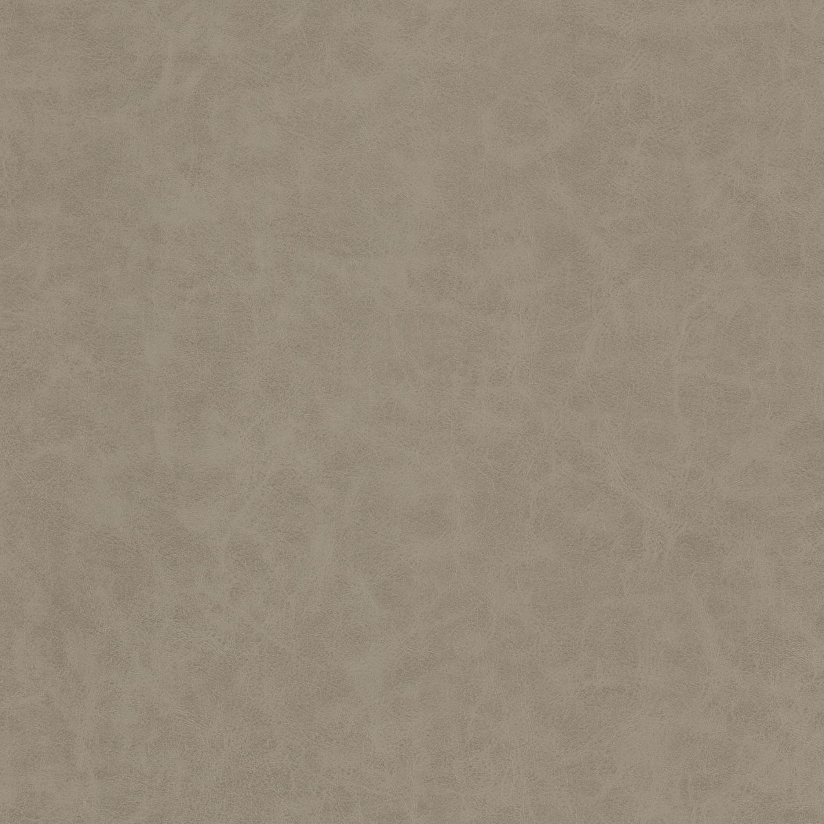 STOUT UNVEIL 1 ASH Fabric | Atlanta Fabrics