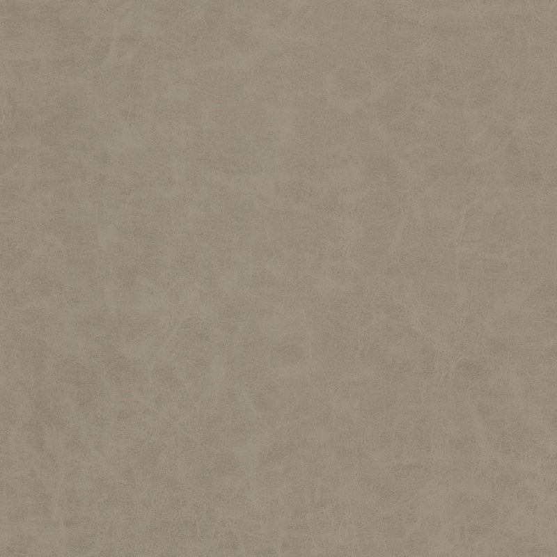 STOUT UNVEIL 1 ASH Fabric | Atlanta Fabrics