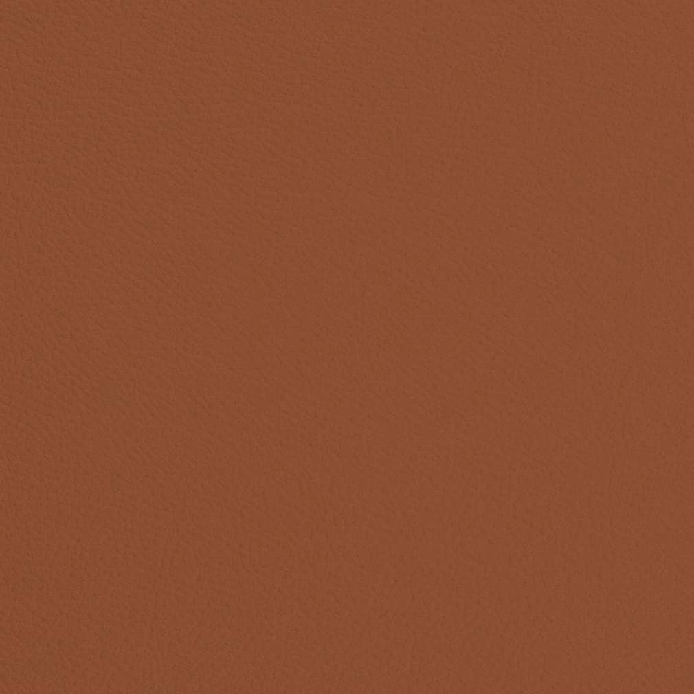 V685 Rust