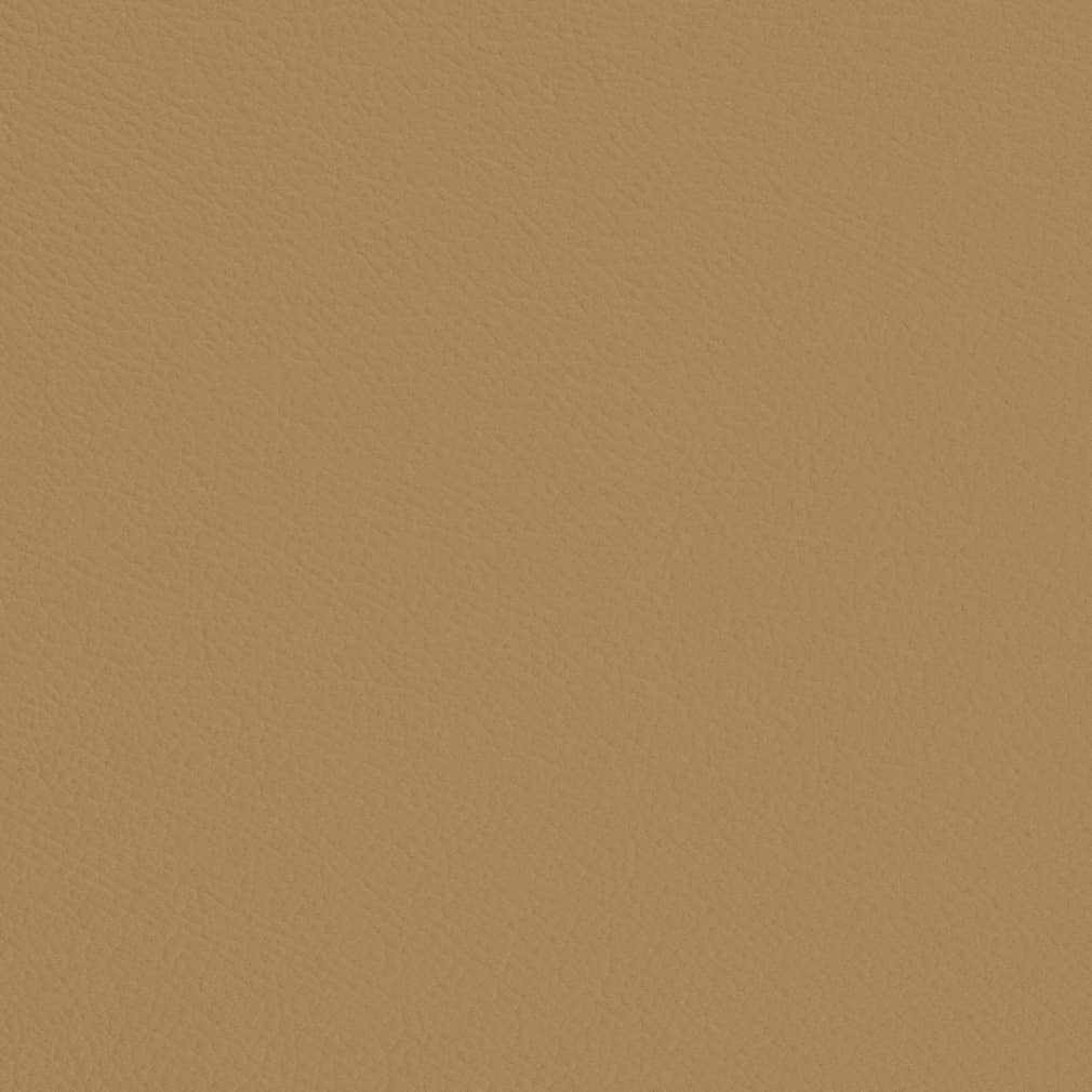 V697 Khaki