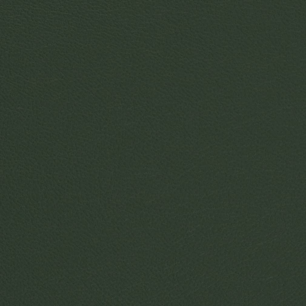 V699 Evergreen