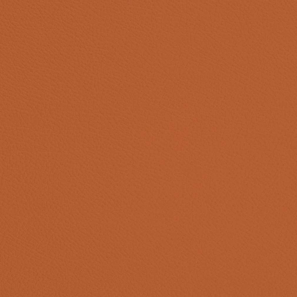 V700 Marmalade