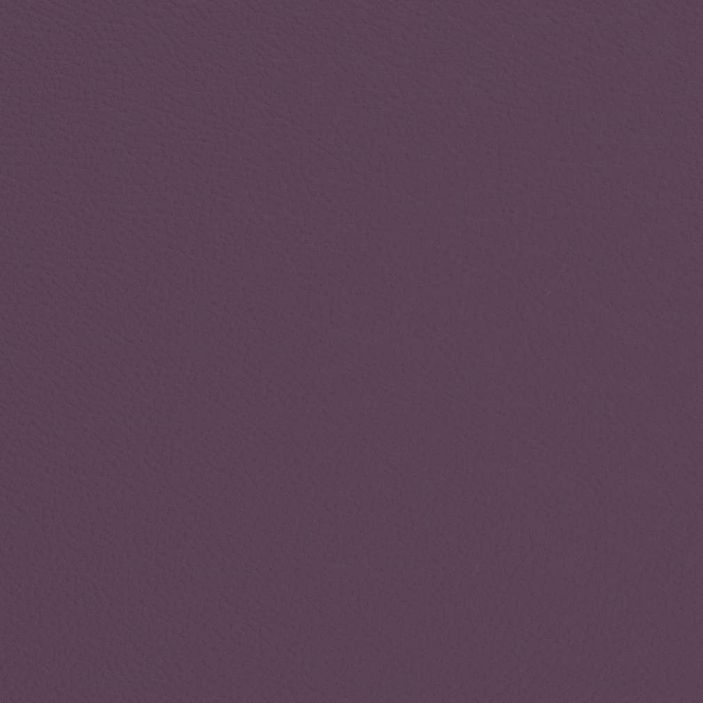 V709 Plum