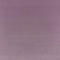 VASTO LAVENDER