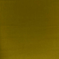 VASTO OLIVE