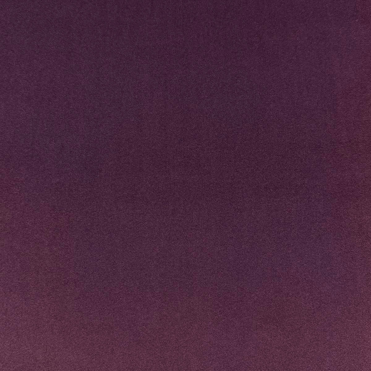 VASTO VIOLET