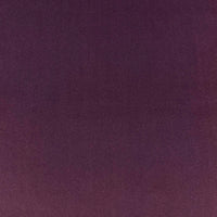 VASTO VIOLET