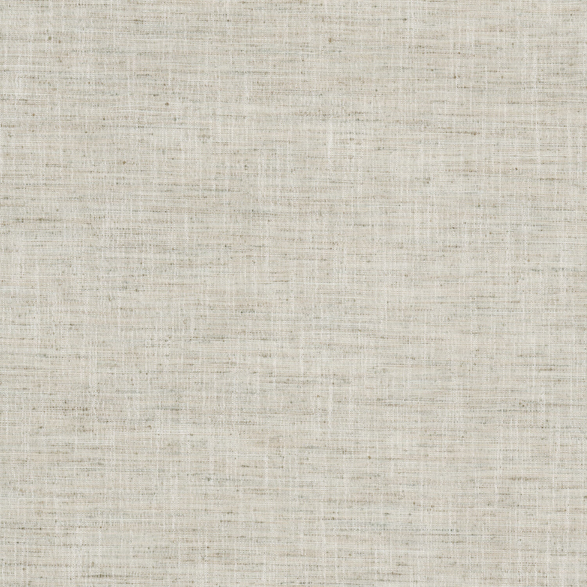 VINCENT 1 HEMP