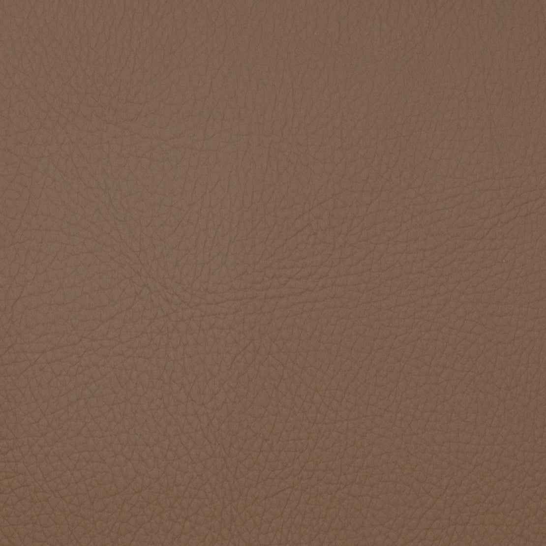 VOYAGER CHESTNUT