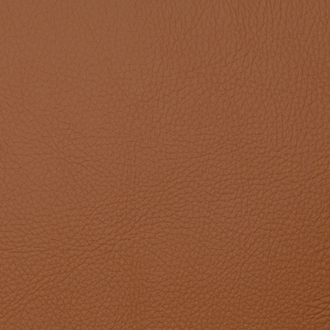 VOYAGER MAPLE