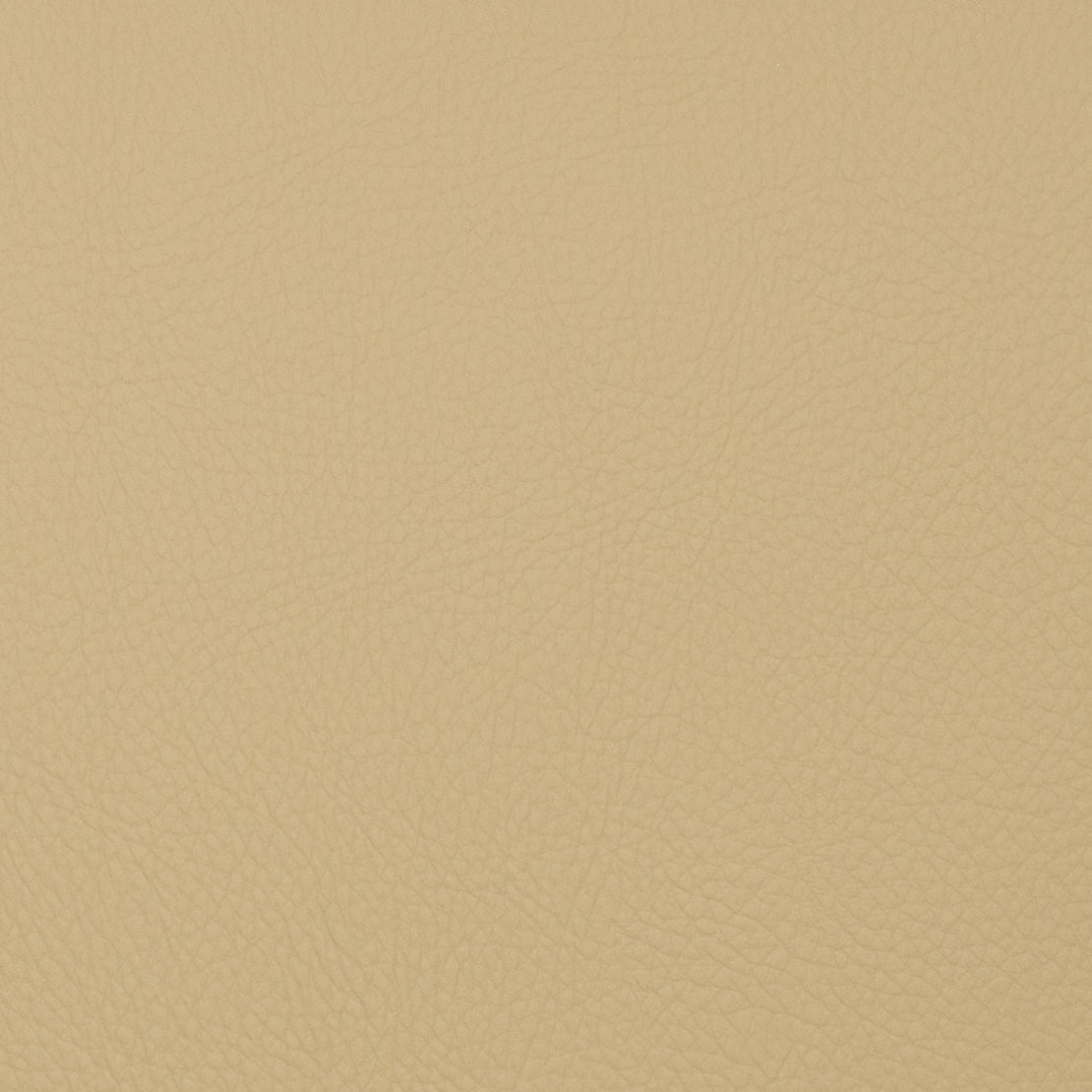 VOYAGER SAND
