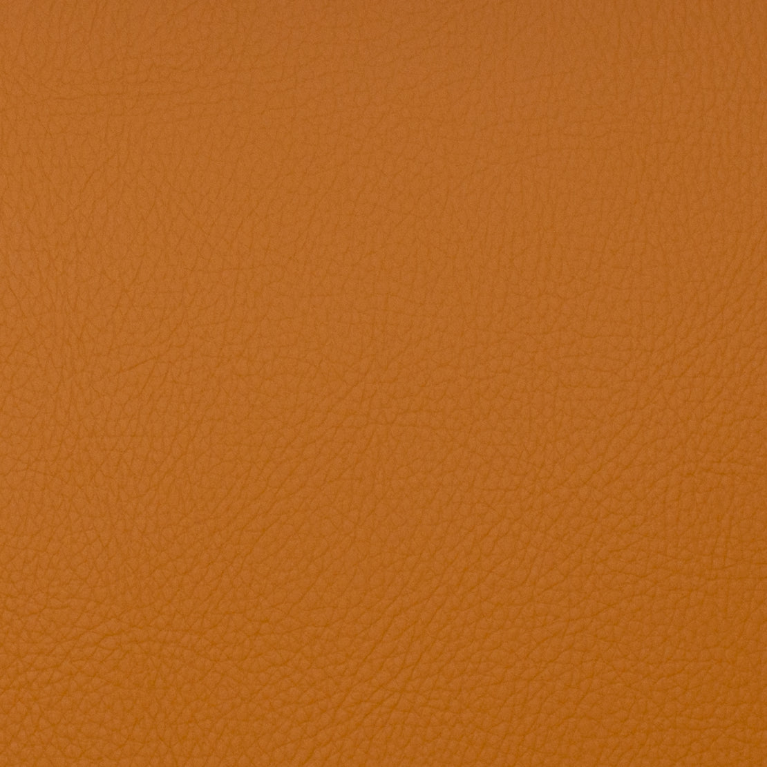 MagFabrics VOYAGER SPICE Fabric | Atlanta Fabrics