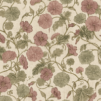 Vineyard Mallow Dusty Pink
