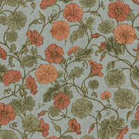 Vineyard Mallow Terracotta