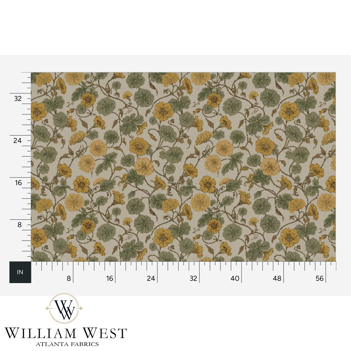Vineyard Mallow Yellow