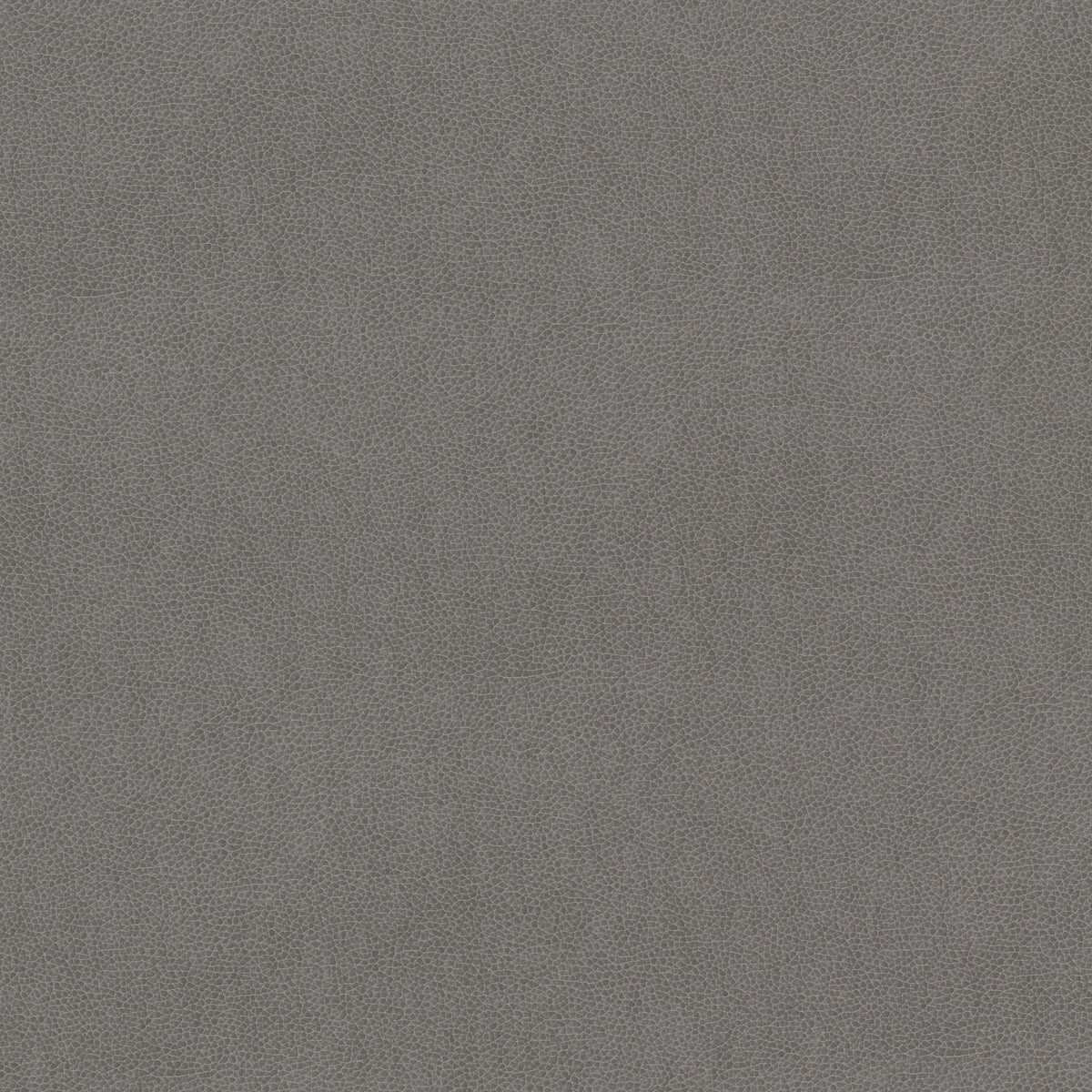 STOUT WILKINSON 2 DOVE Fabric | Atlanta Fabrics