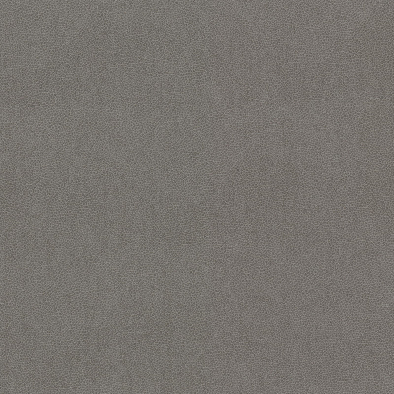 STOUT WILKINSON 2 DOVE Fabric | Atlanta Fabrics