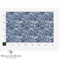Wild! Blue