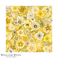 Wild! Yellow