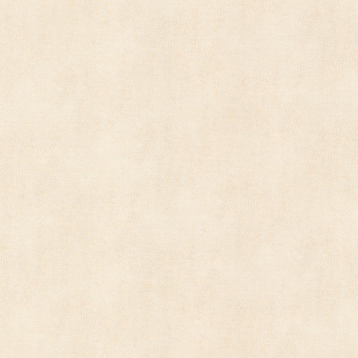 STOUT ZIEMBA 2 OYSTER Fabric | Atlanta Fabrics