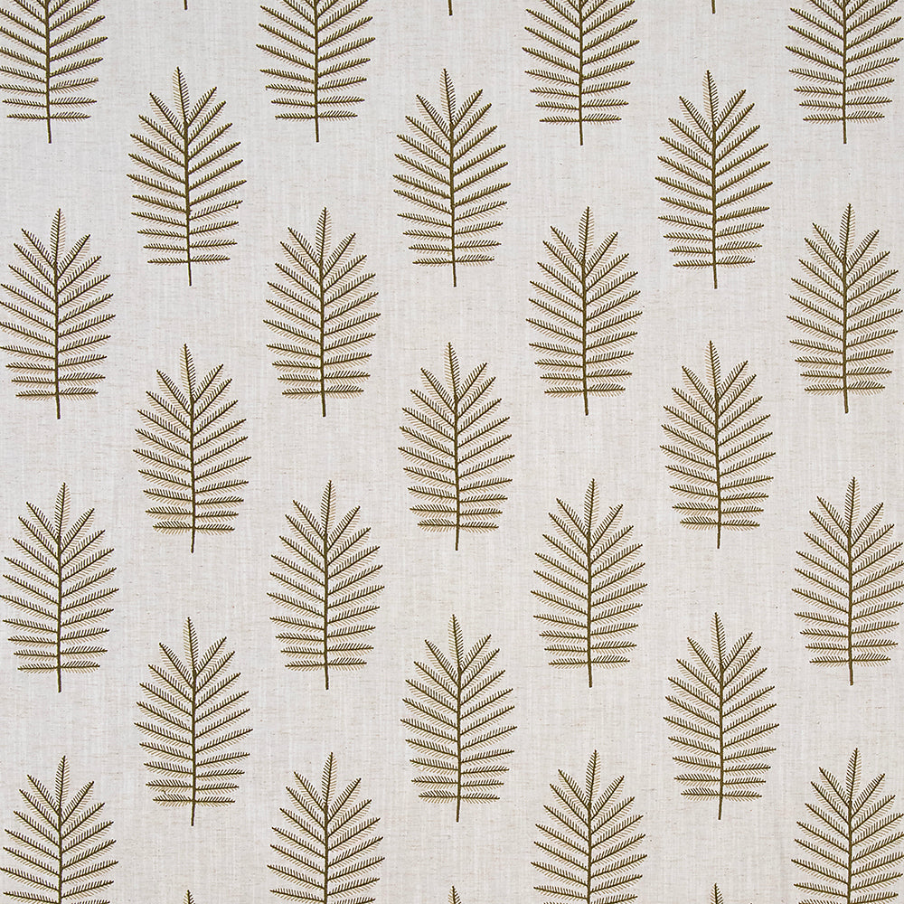 Autumn Fern Dill