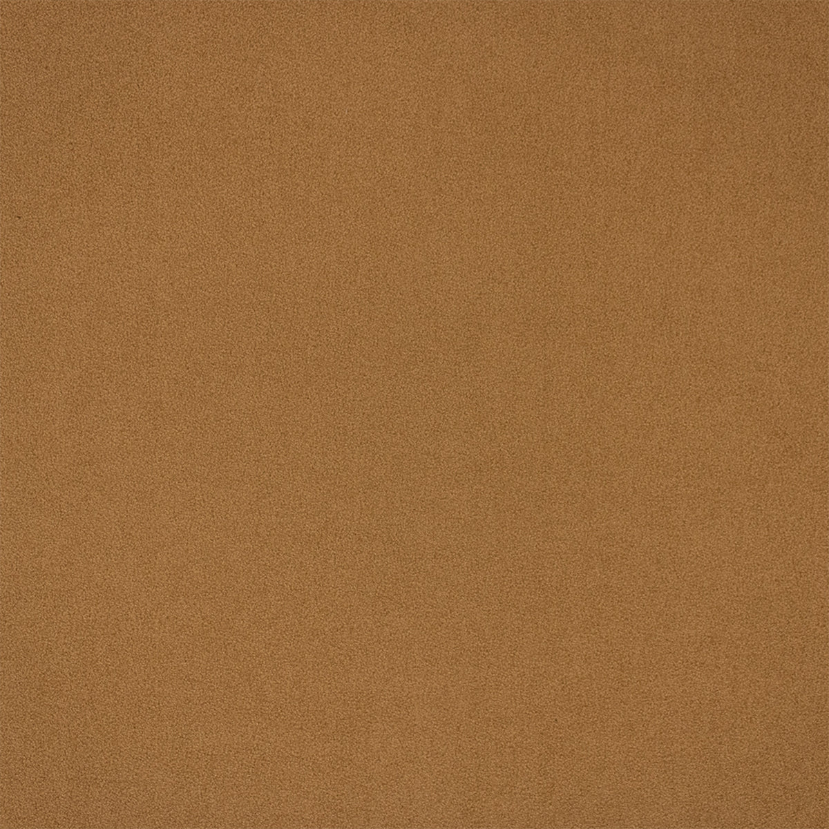 F6368 CAMEL