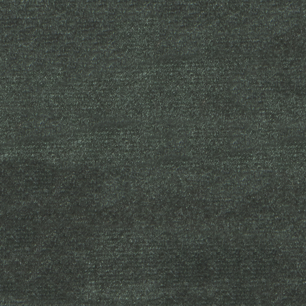 F1842 PINE