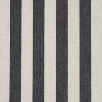 Hanson Indoor/Outdoor Stripe