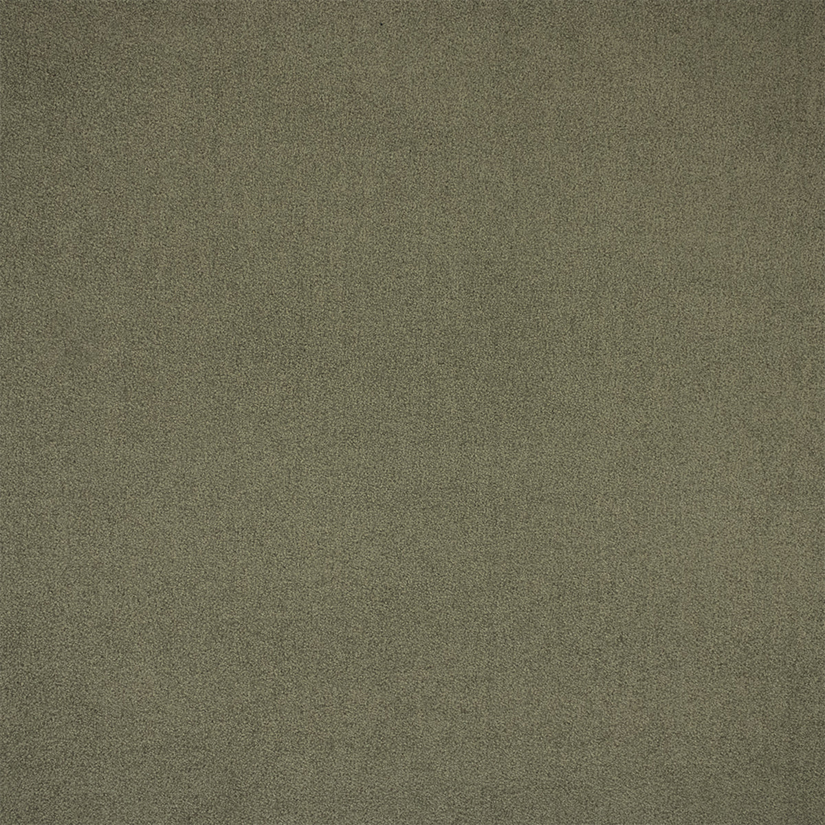 F6401 SAGE