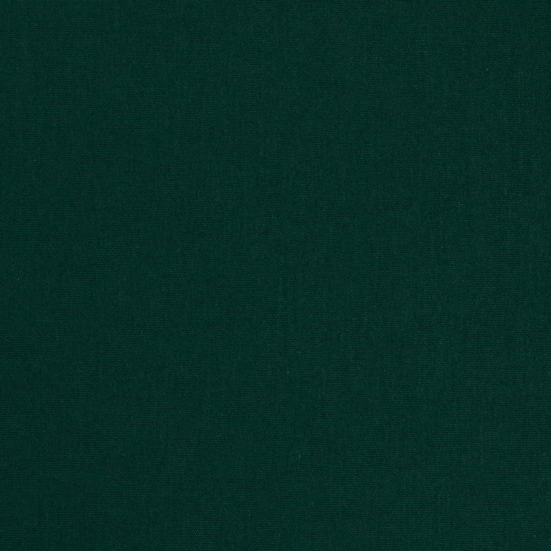 Charlotte Fabrics D4875 Hunter Fabric | Atlanta Fabrics