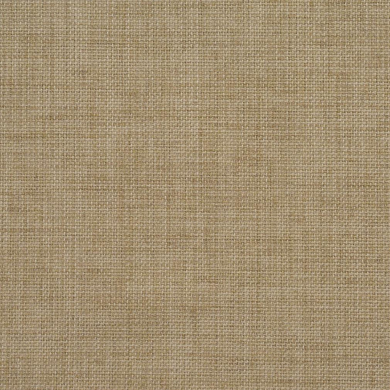 Charlotte Fabrics 2021 Sand Fabric | Atlanta Fabrics