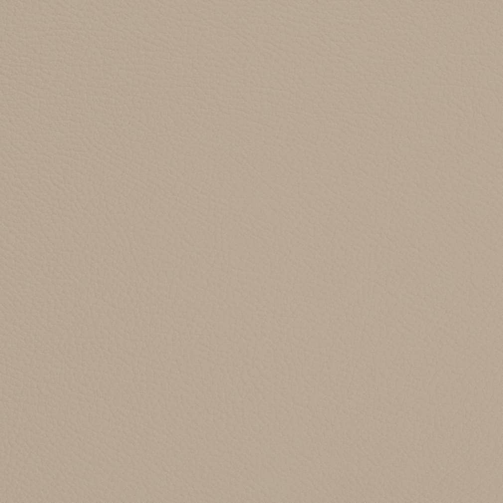 V698 Dove