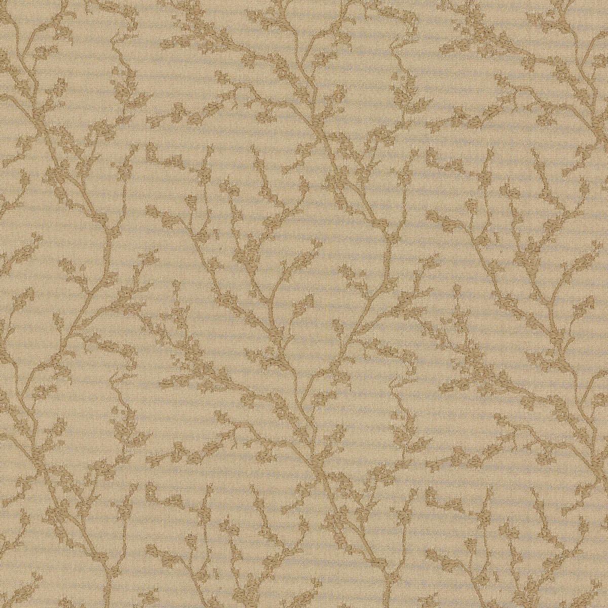 S8001 TRUFFLE