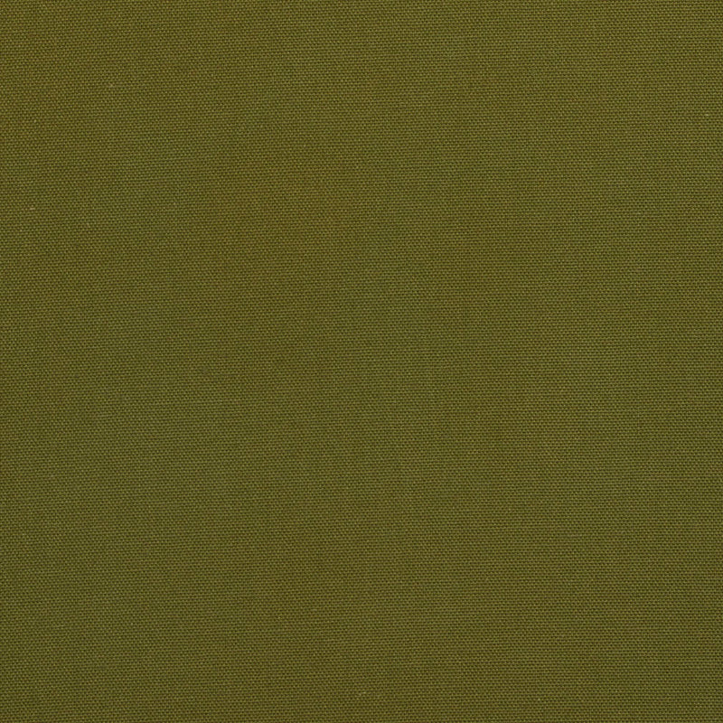 Charlotte Fabrics 3886 Moss  | Atlanta Fabrics