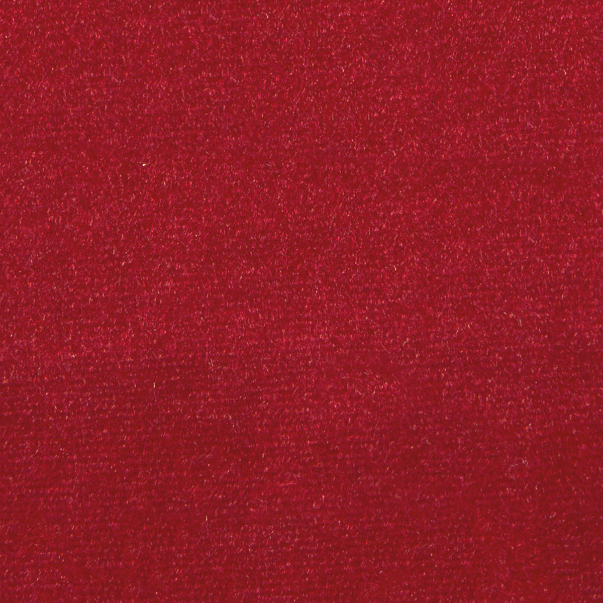 F1831 CRANBERRY