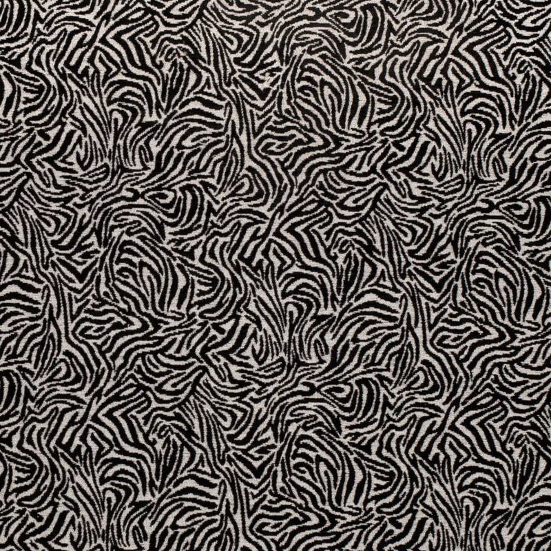 Charlotte Fabrics D3770 Black Fabric | Atlanta Fabrics