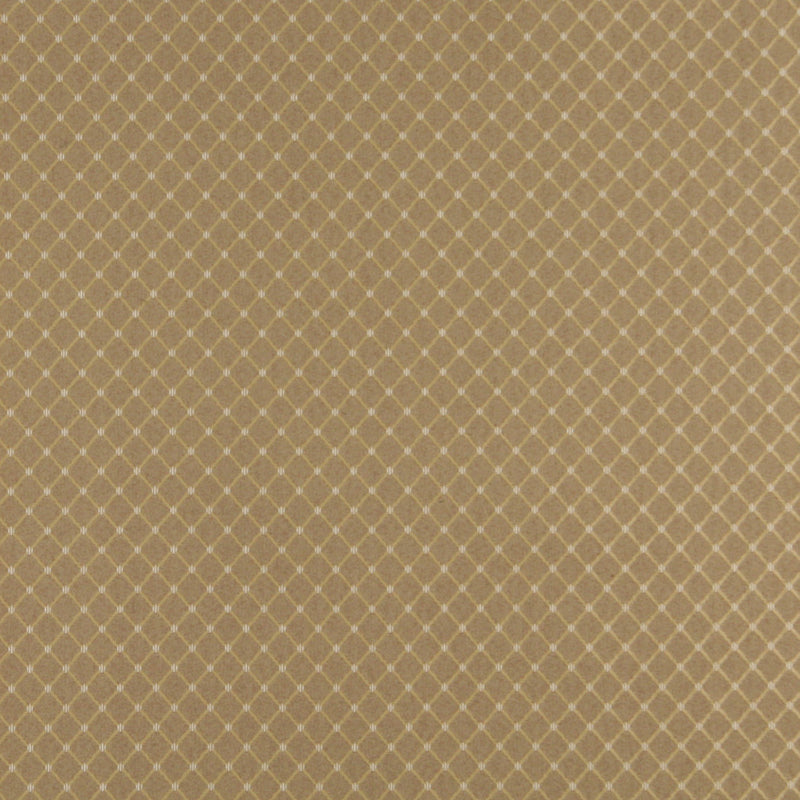Charlotte Fabrics 4333 Harvest Diamond  | Atlanta Fabrics