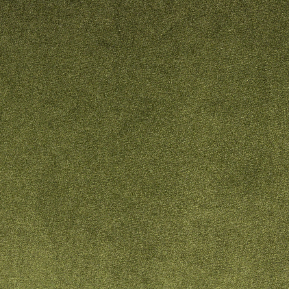 VIVOLI-MOSS