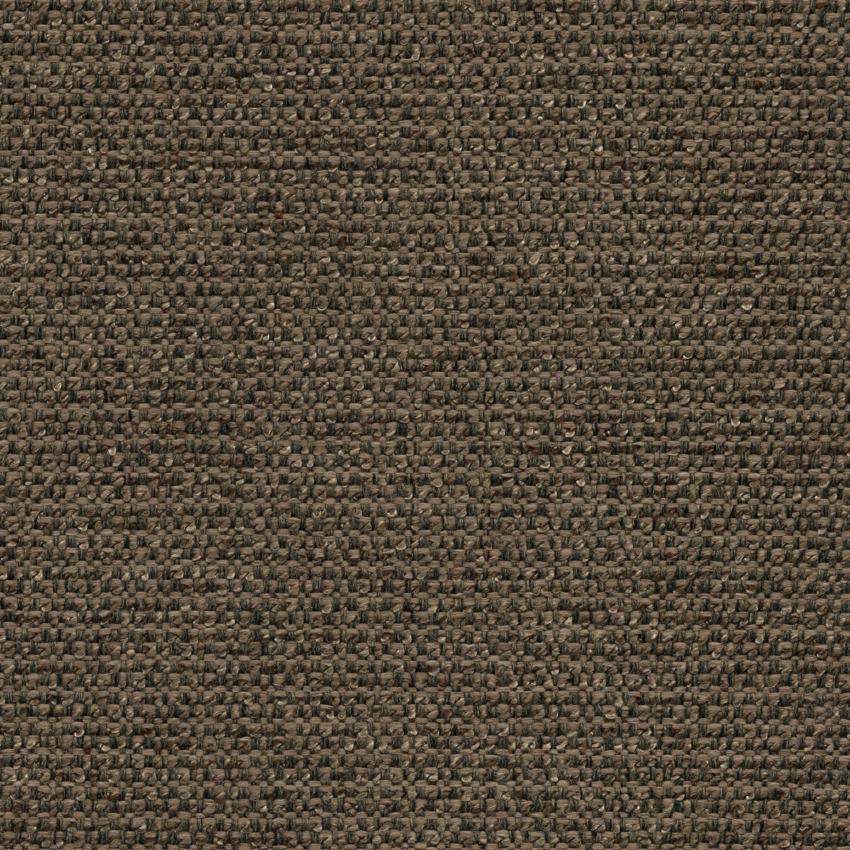 Luxury Fabrics 53433 BARK (CHORUS) Fabric | Atlanta Fabrics