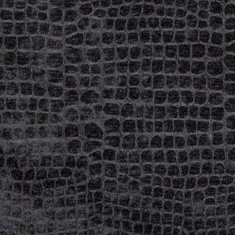 Charlotte Fabrics D3764 Ebony Fabric | Atlanta Fabrics