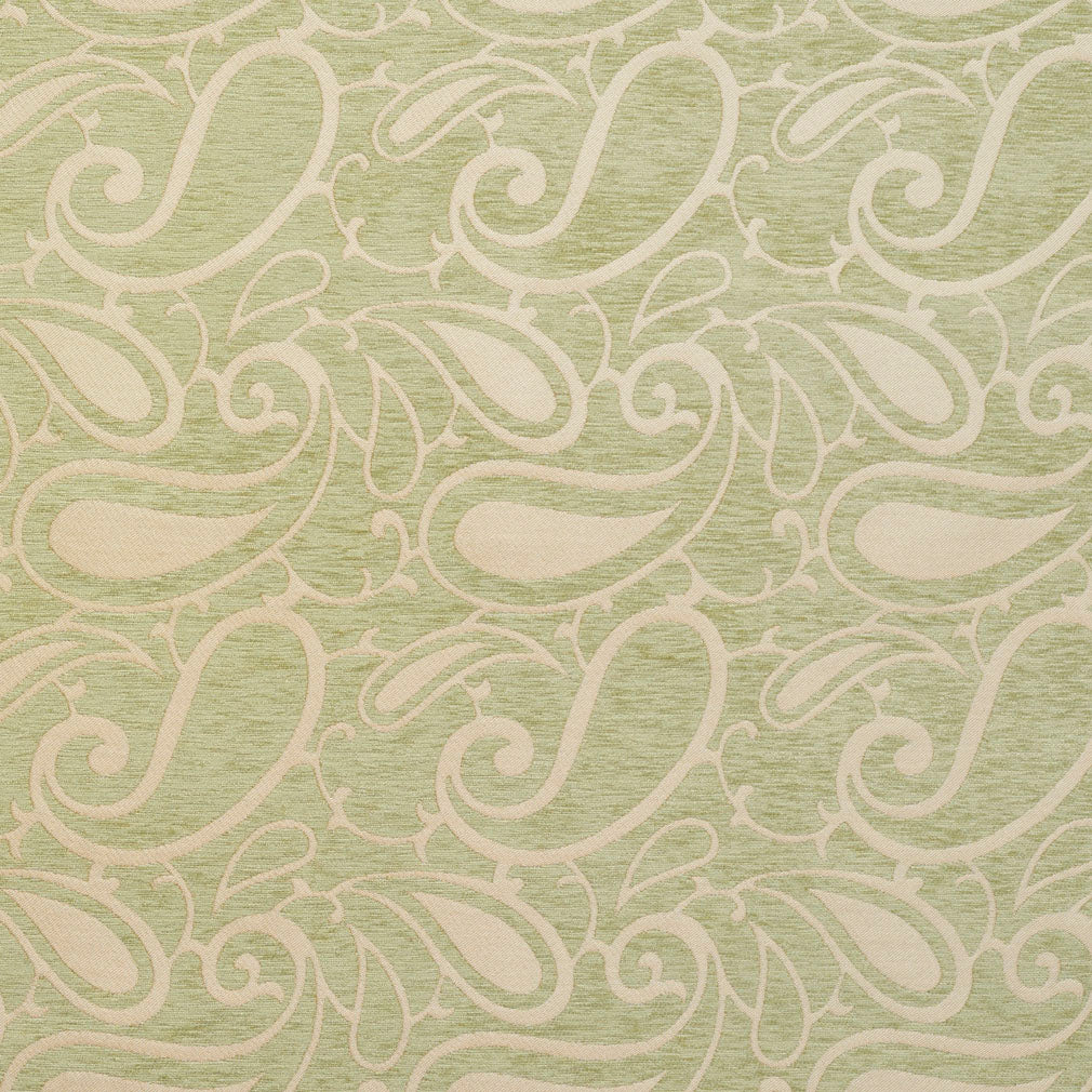 Charlotte Fabrics 20800-06 Fabric | Atlanta Fabrics