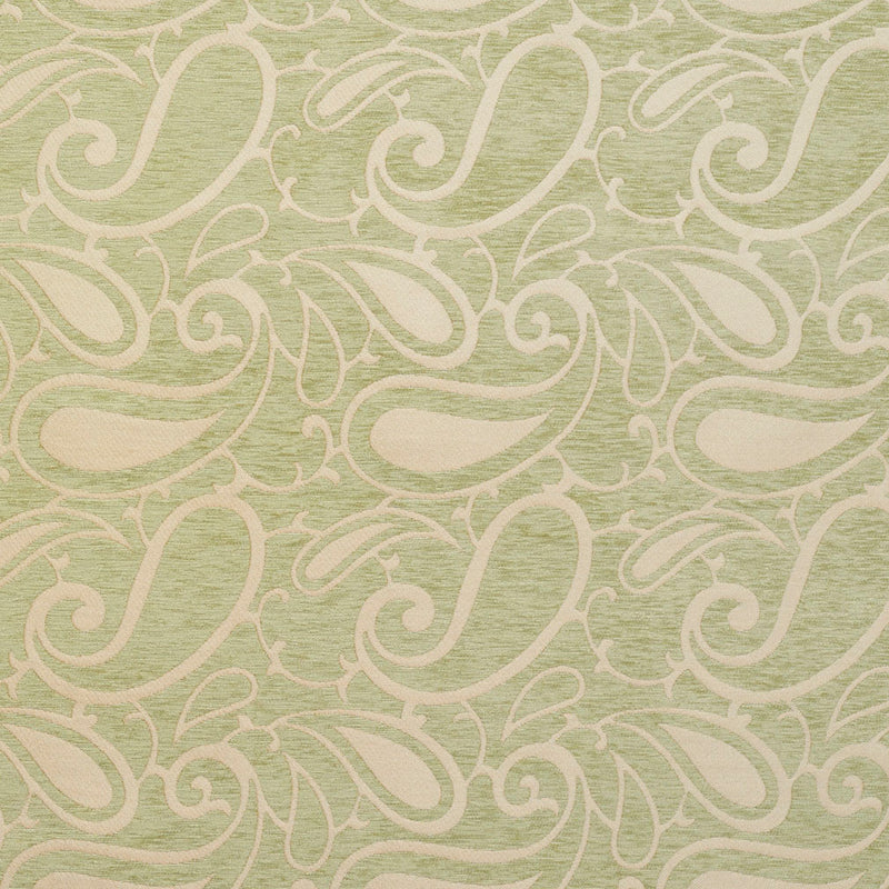 Charlotte Fabrics 20800-06 Fabric | Atlanta Fabrics