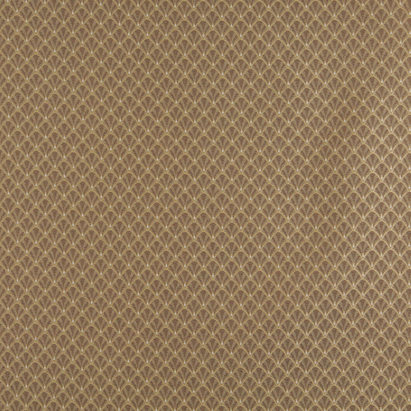 Charlotte Fabrics 4359 Harvest Shell  | Atlanta Fabrics