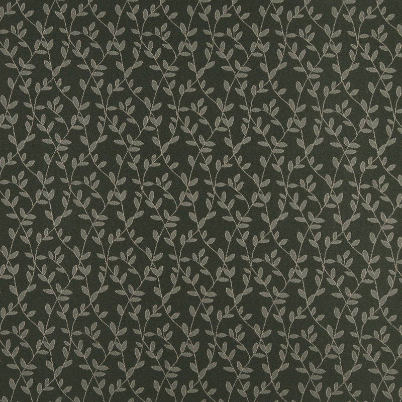 Charlotte Fabrics 4322 Juniper Vine  | Atlanta Fabrics